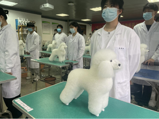 1653524753929106.png image.png