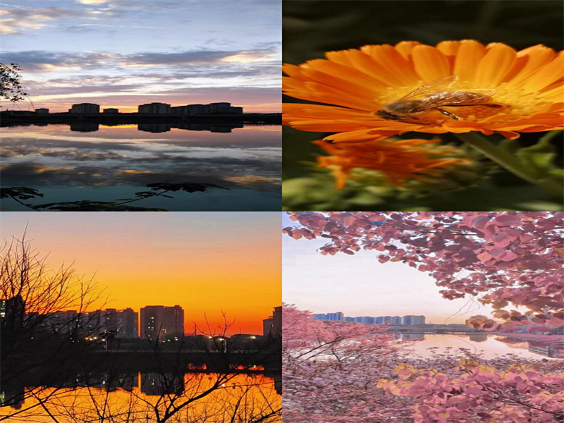 1654569767499294.jpg 活动1.jpg